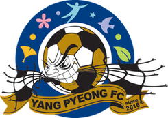 杨平队徽