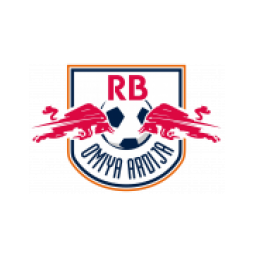 RB大宫队徽